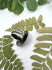 Picture Jasper Hidden Fern Ring
