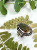 Picture Jasper Hidden Fern Ring