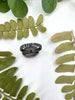 Royston Turquoise Leaf Skeleton Ring - Size 8